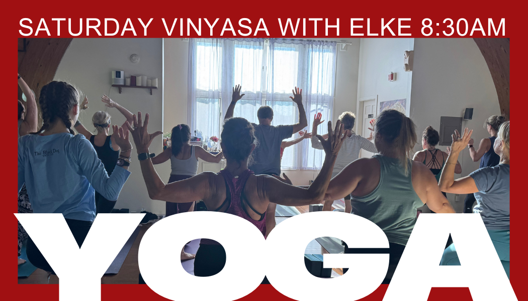 Saturday Vinyasa with Elke 8:30am